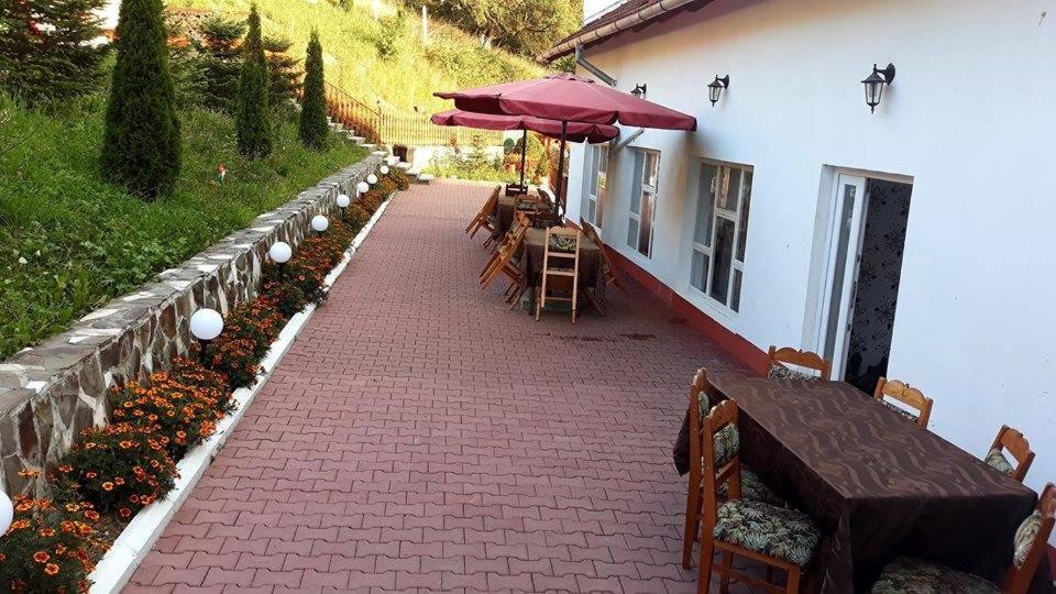 Pensiunea Tinelu Brasov Négyfalu Kültér fotó